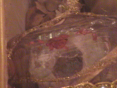 Sangre de Santa Filomena