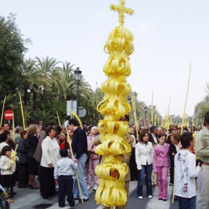 Palma blanca de Elx