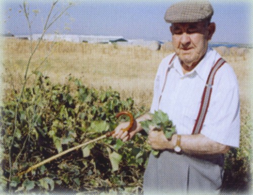 Antonio López