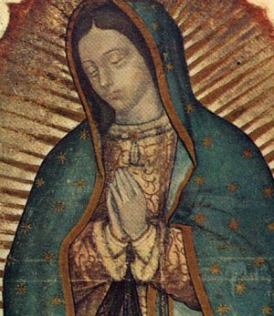 Detalle del ayate de San Juan Diego, donde se pueden distinguir más de cerca algunos detalles en la parte superior de la imagen mariana.