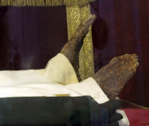 Detalle de los pies incorruptos de la Santa, que se alzaron cuando Santa Catalina de Siena se agachó a besarlos.