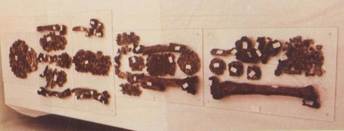 Reliquias del beato reconocidas en Nápoles (Italia).