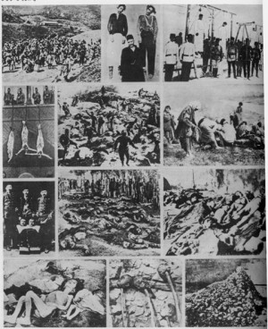 Collage con distintas fotos mostrando detalles del genocidio.