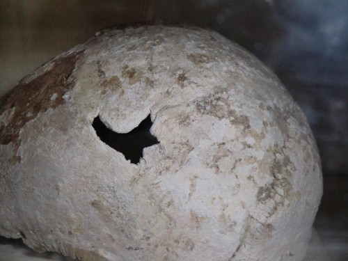 Cráneo del santo.